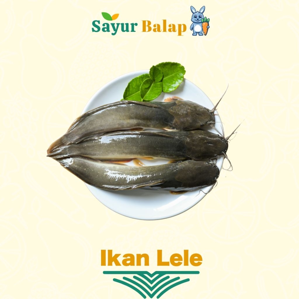 

Ikan Lele Segar - 1 Kilo - Sayur Balap Lampung