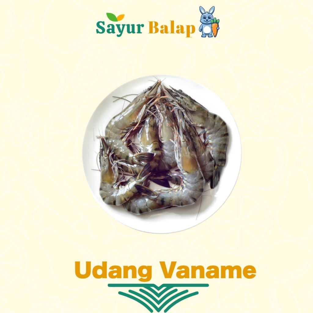 

Udang Fress - 250 Gram - Sayur Balap Lampung