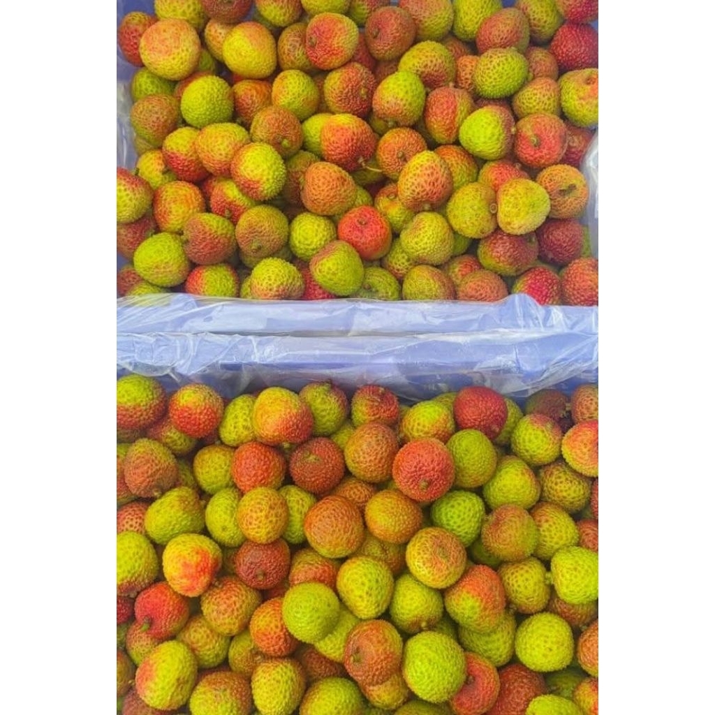 

buah lychee segar