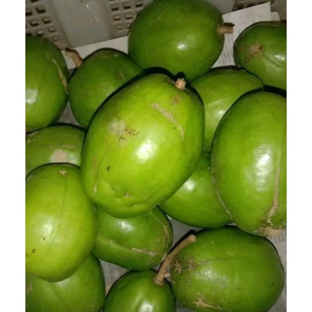 

BUAH KEDONDONG BANGKOK 1 KG KRIUK SEGER BUAT RUJAKAN ASLI PATI