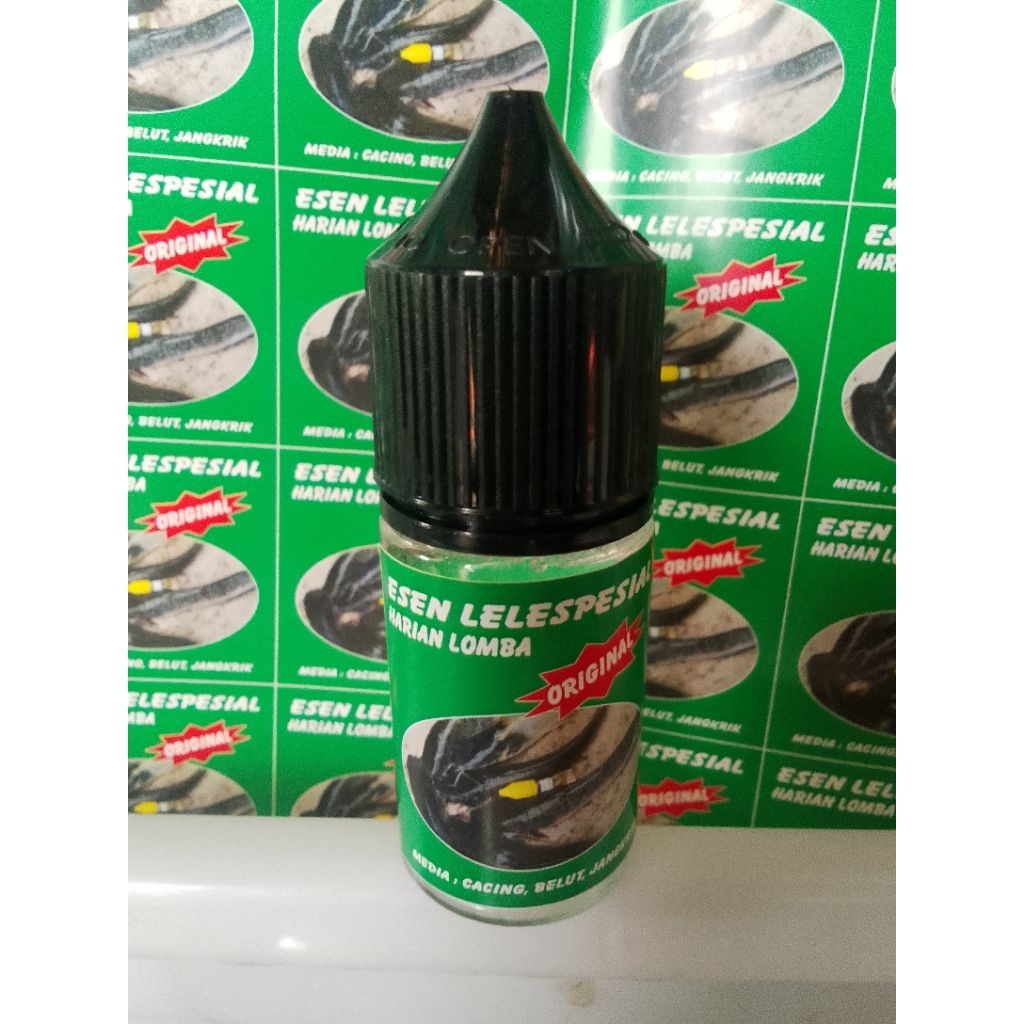 Esen cocolan cacing buat lele harian buat jangkrik ulet Hongkong cacing  jos