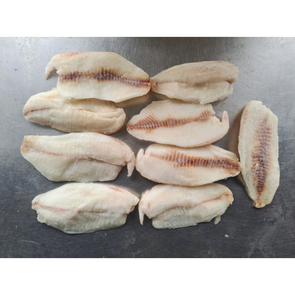 

Filet Ikan Nila / Tilapia Premium glazing protectif