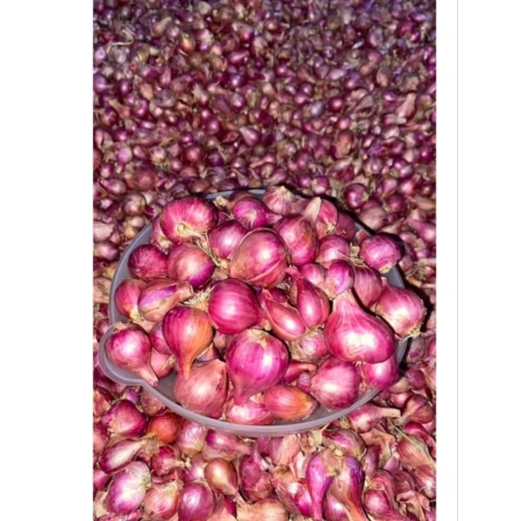 

Bawang merah kering probolinggo tanggung kecil 500gram