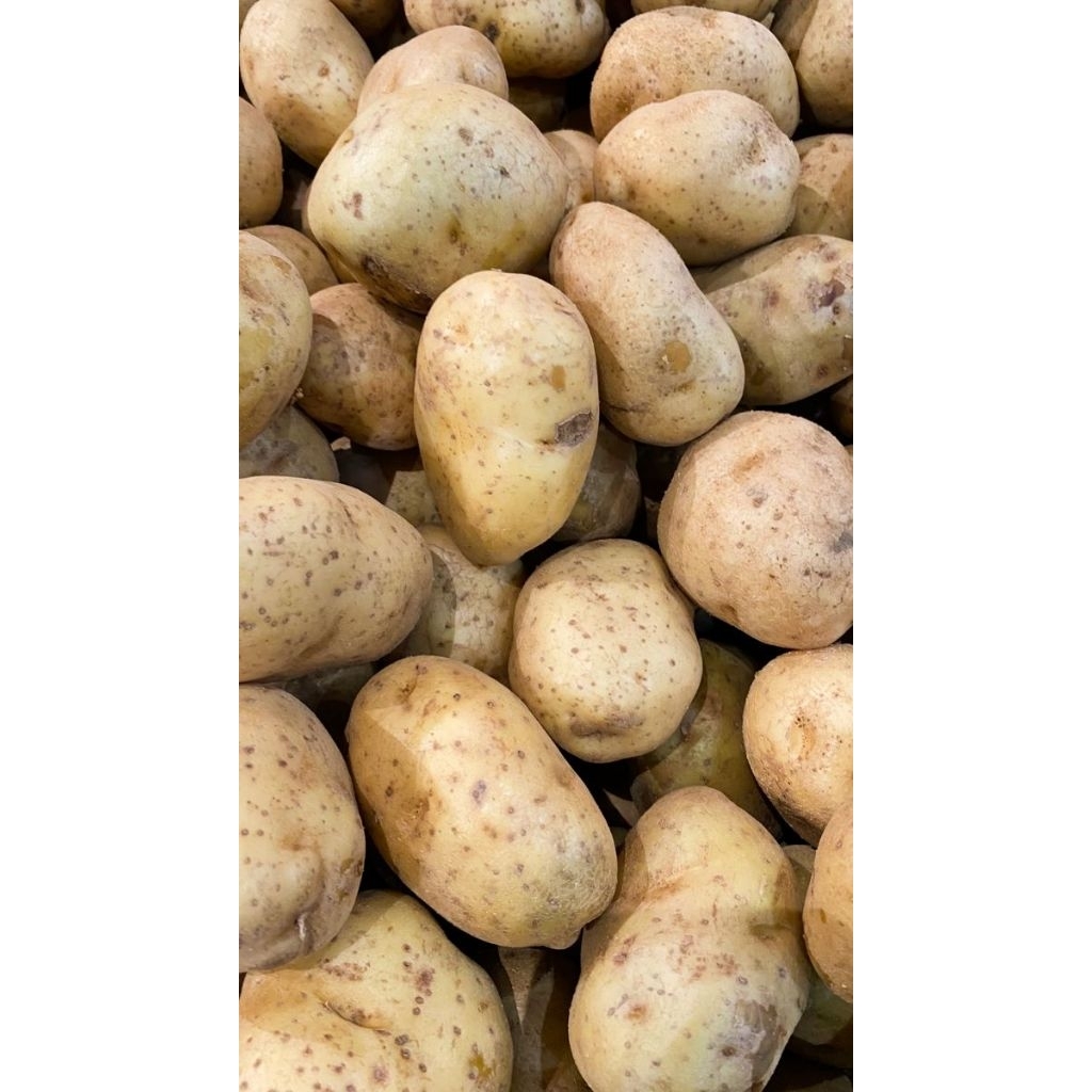 

Kentang fresh premium (1-10kg)-sayurrku