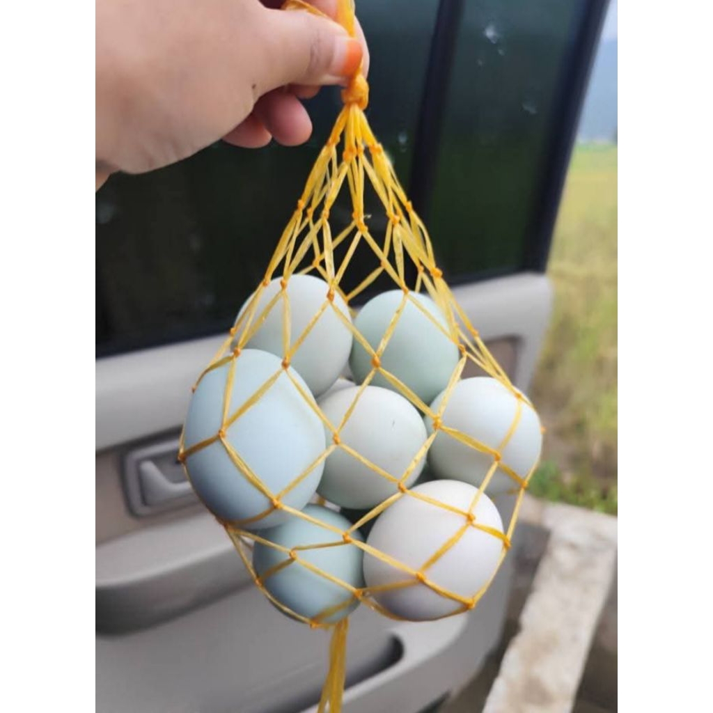 

Telur Rebus Belerang
