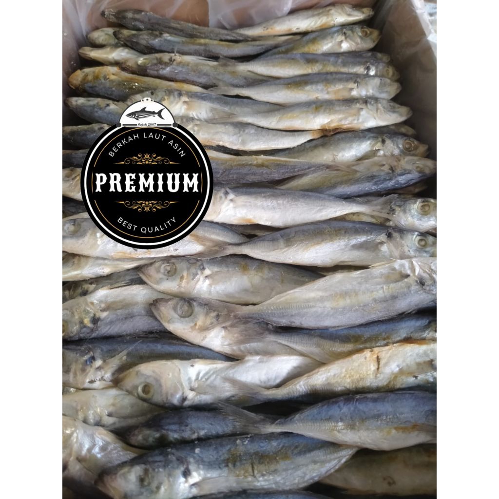 

ikan asin/ikan peda putih/kembung banjar asin/peda putih premium