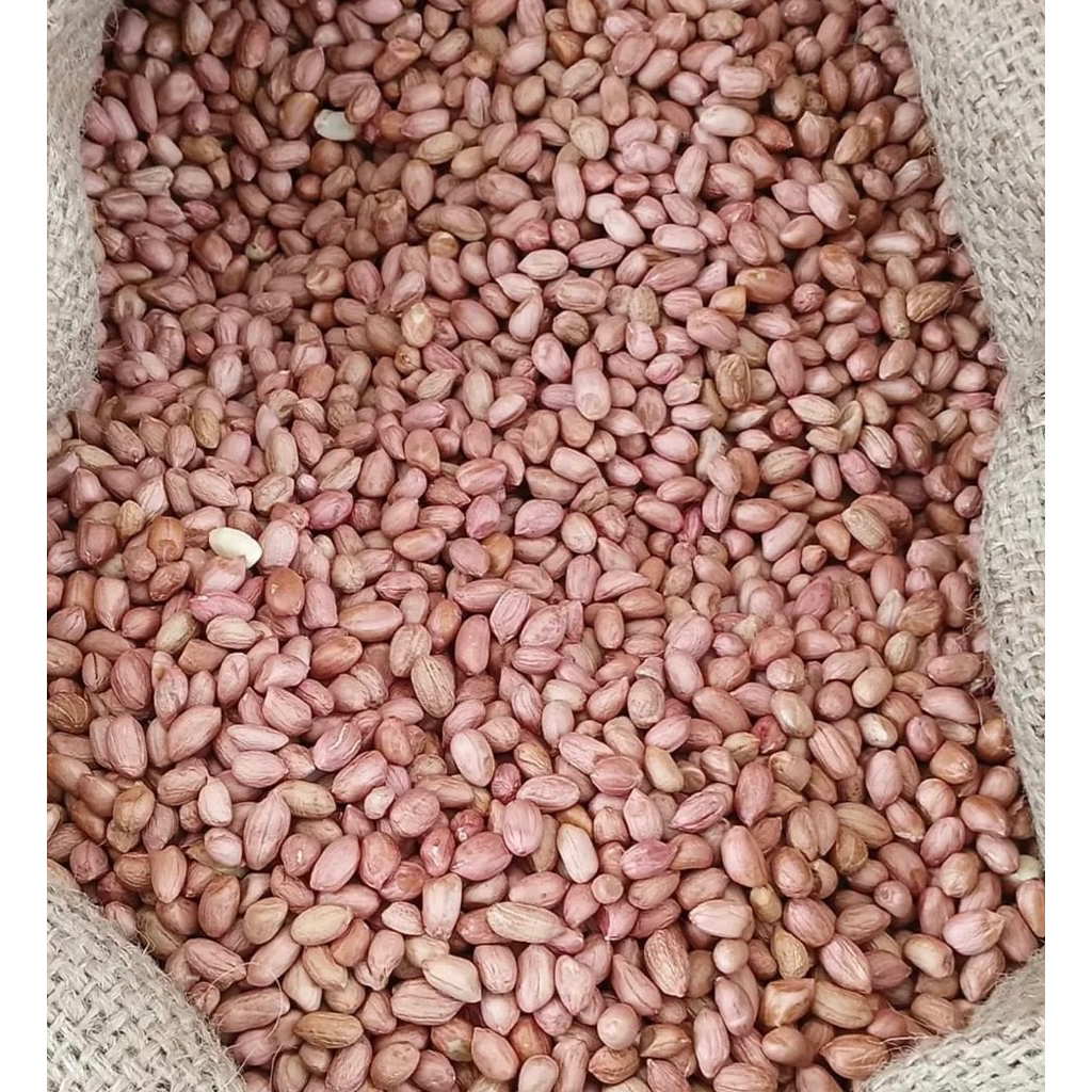 

Promo Kacang Tanah TJ 80/90 Super