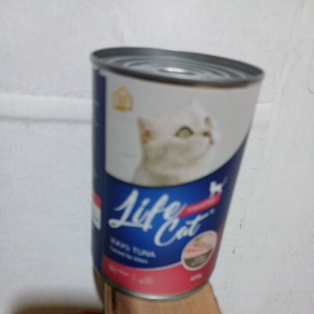 life cat life cat life cat