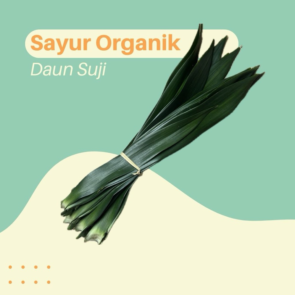 

Daun Suji Segar 1 Ikat