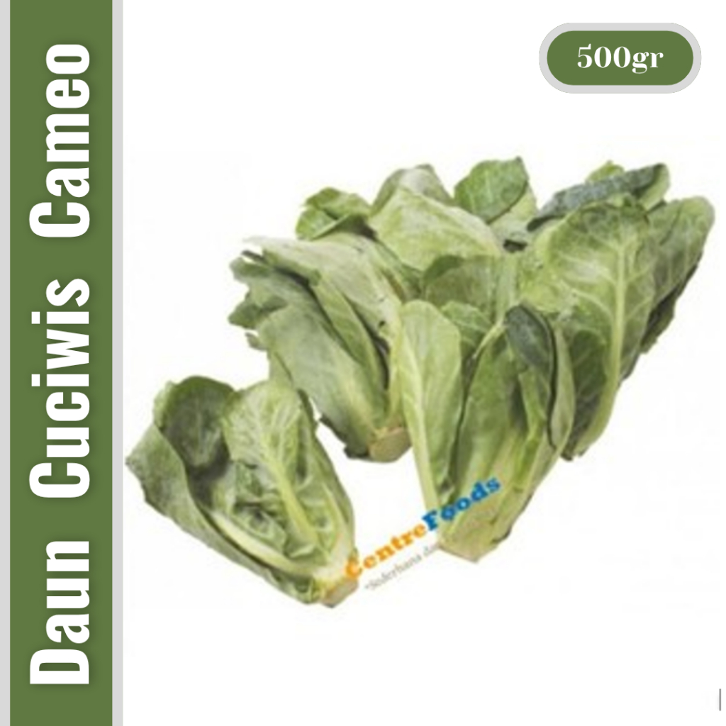 

Sayur Cameo Babby Kol - Daun Cuciwis Fresh | 500gr [ Harga Per 0,5 kg ]