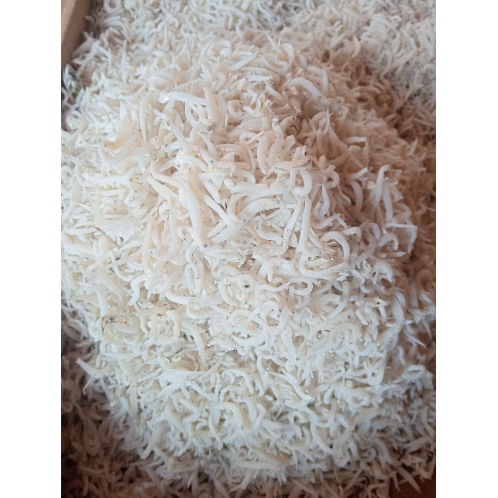 

Ikan Teri Medan 100gr Segar -Sayur omstore