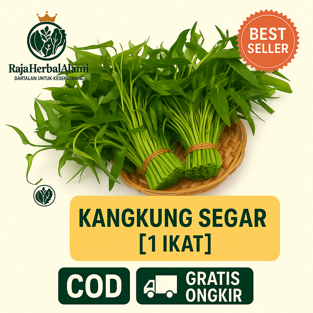 

Sayur Kangkung Segar 1 Ikat Siap Olah | COD