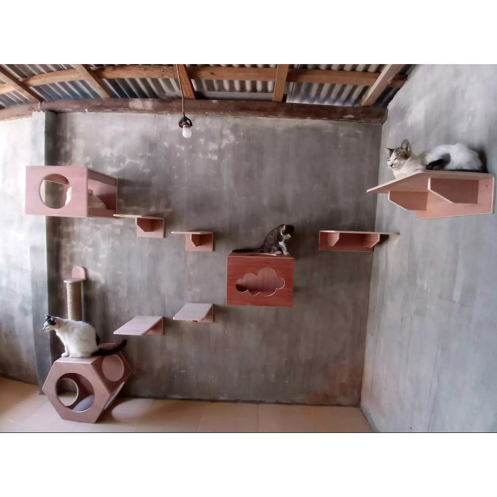 Cat Playground Cat room kandang Rumah kucing