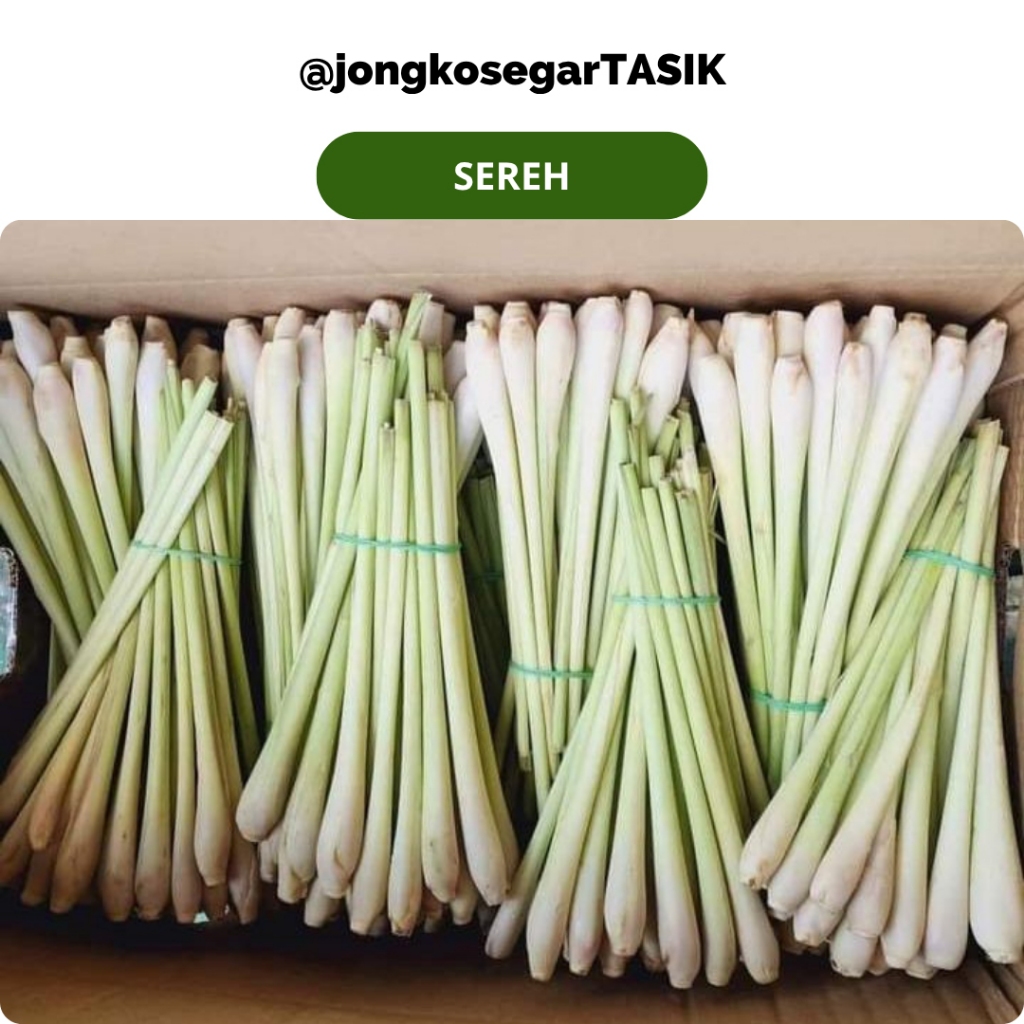 

jongkosegarTASIK - Sereh Fres Rempah Bumbu Masak per ikat (isi -+ 5 batang)