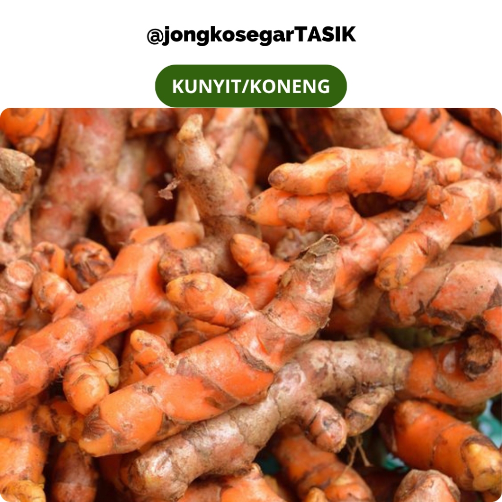

jongkosegarTASIK - Kunyit Segar Fresh 200-500gram