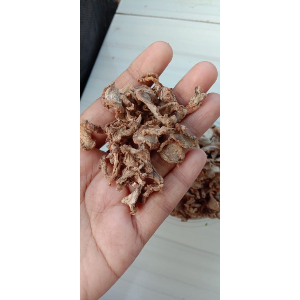 

Kunyit Putih Kering Original 500 gram