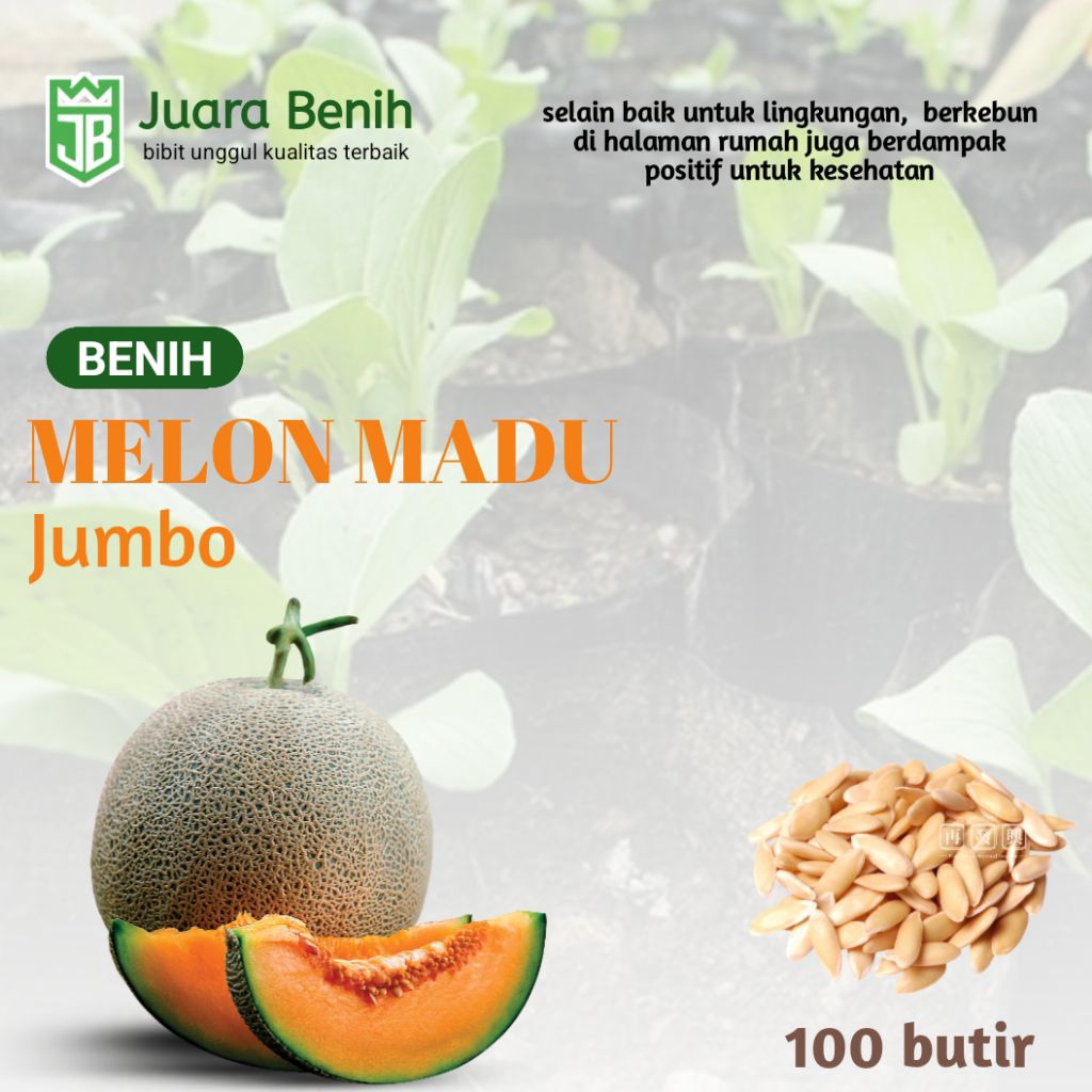 COD 100+ BIJI BENIH MELON SWEET MELON MANIS MADU