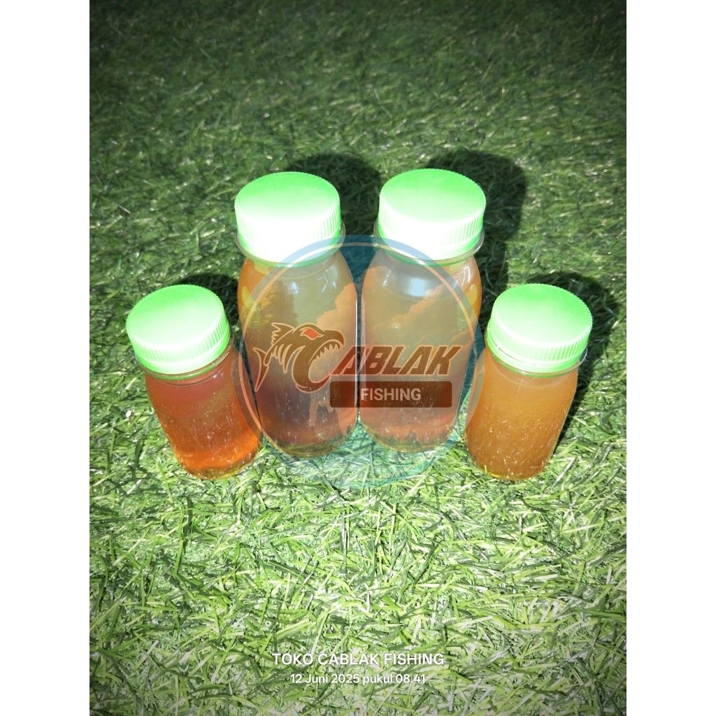

Lem layangan rajawali 50ml dan 100ml