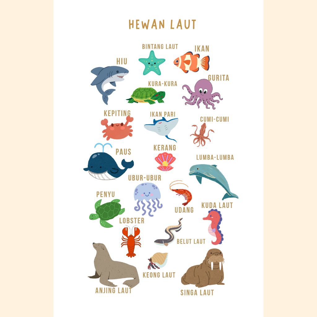 POSTER EDUKASI ANAK HEWAN LAUT