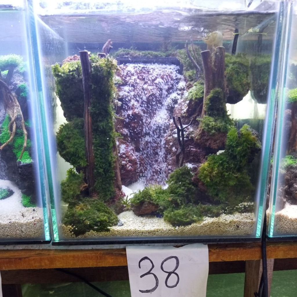 Aquascape waterfall/air terjun size 25 20 25 cm siap pandang fullset..