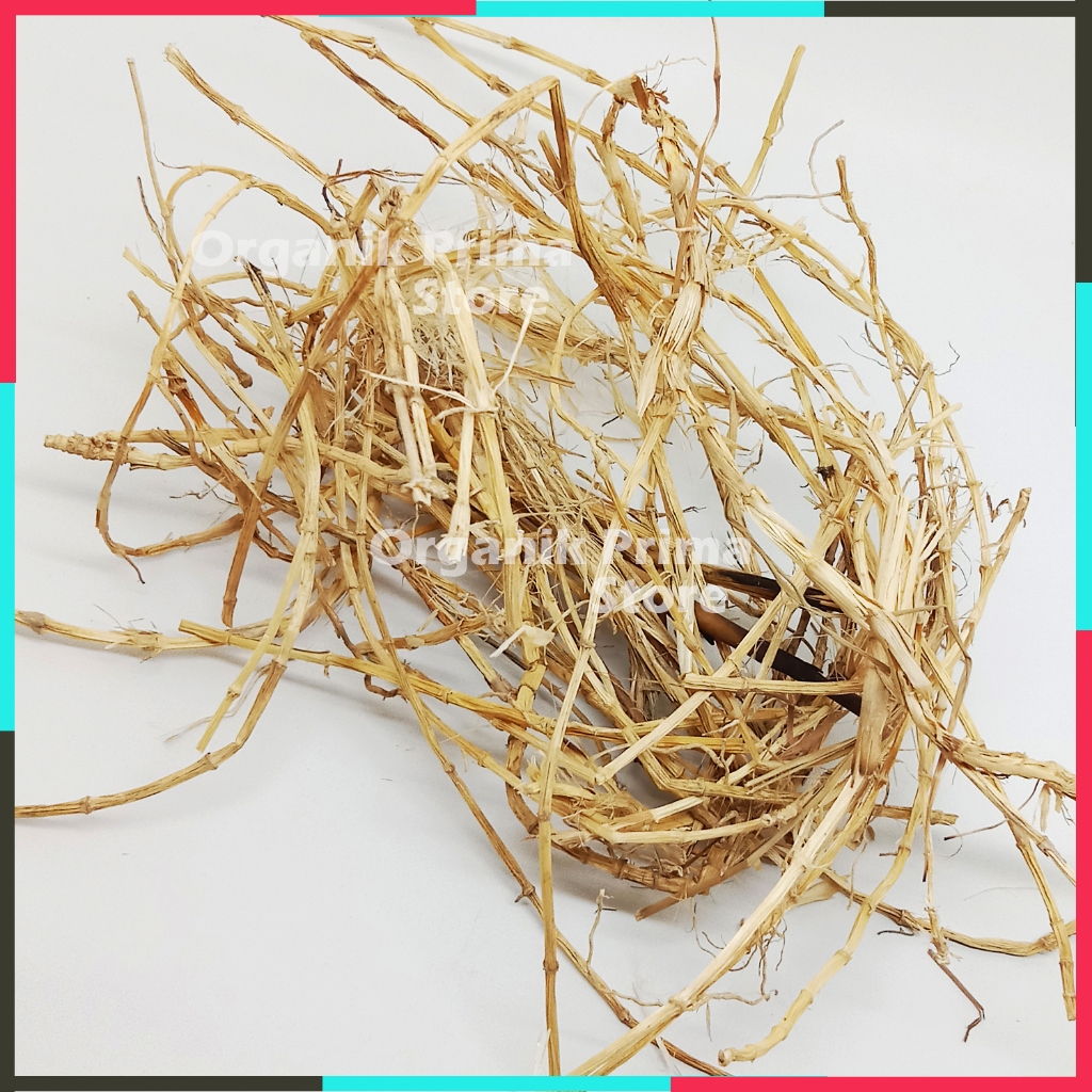 

Akar Alang Alang Kering 100gr Akar Bersih dan Organik