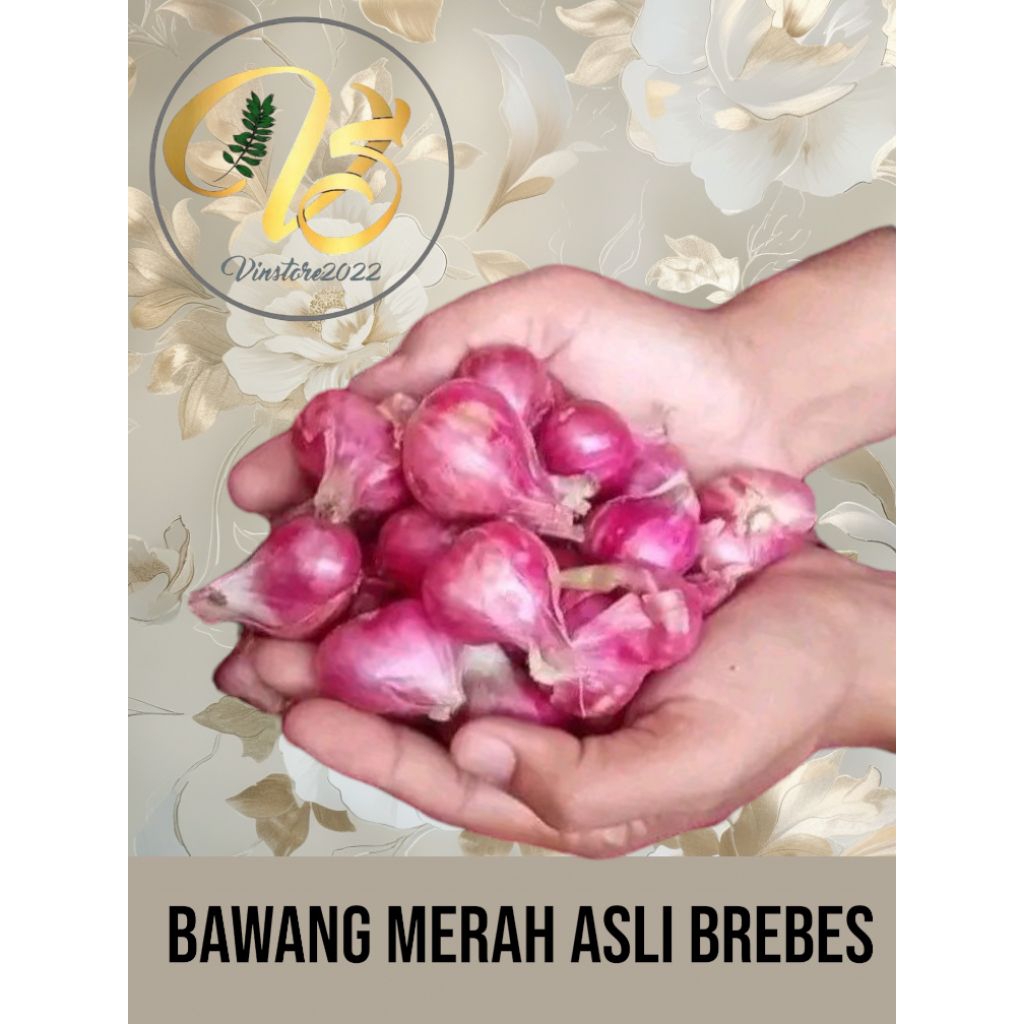 

BAWANG MERAH SUPER MURAH ASLI BREBES UKURAN BESAR SEDANG