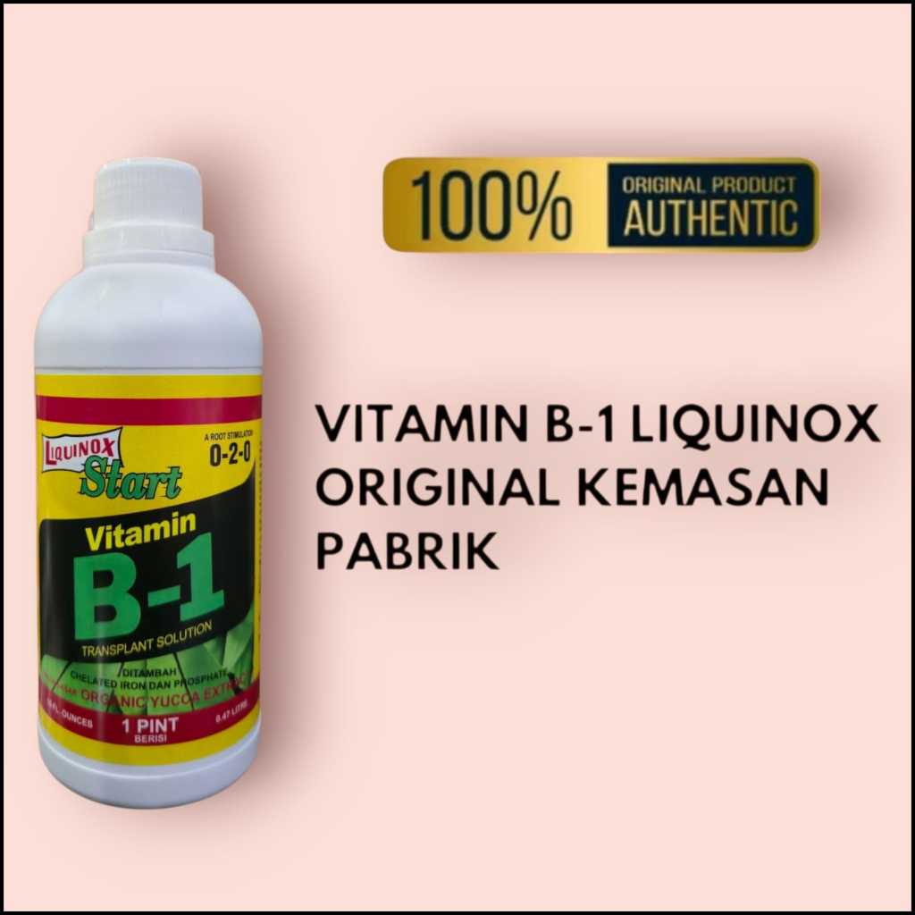 Pupuk Vitamin B1 470ml Liquinox Start bibit benih bunga anggrek akar asli original