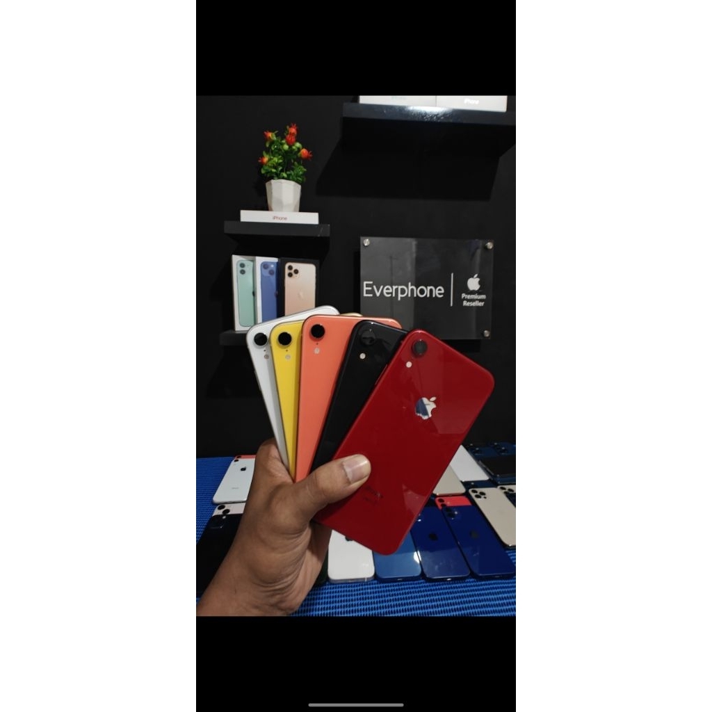 11 PROMAX 64 & 256GB