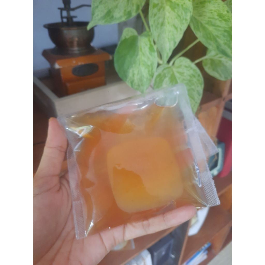 

Kombucha Started dan Scobby