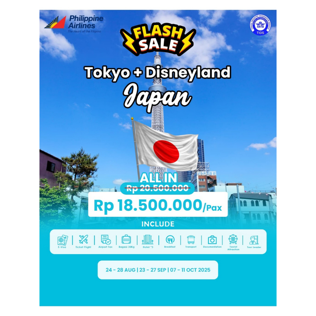 Tour Tokyo + Disneyland, Japan
