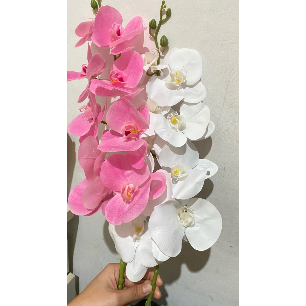 anggrek only anggrek saja/ anggrek only / anggrek artificial / anggrek latex