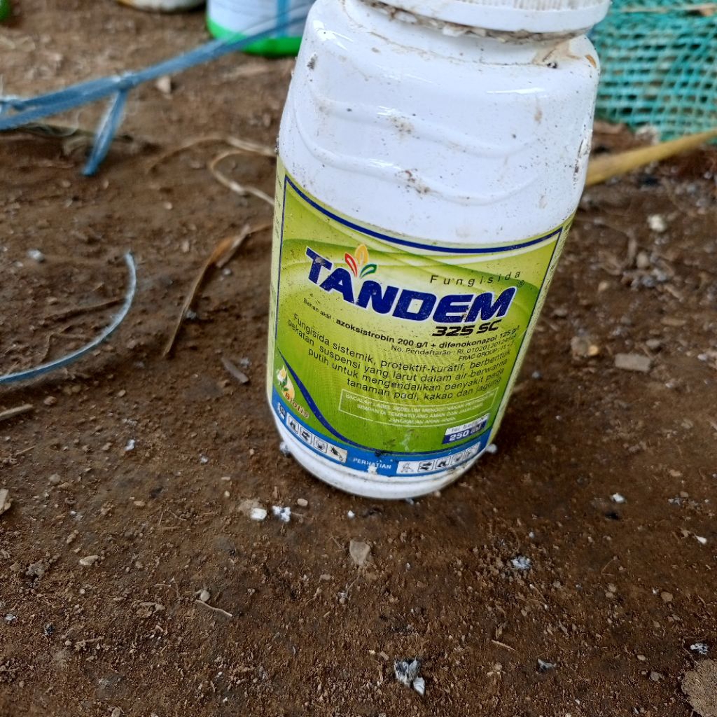 fungisida Tandem