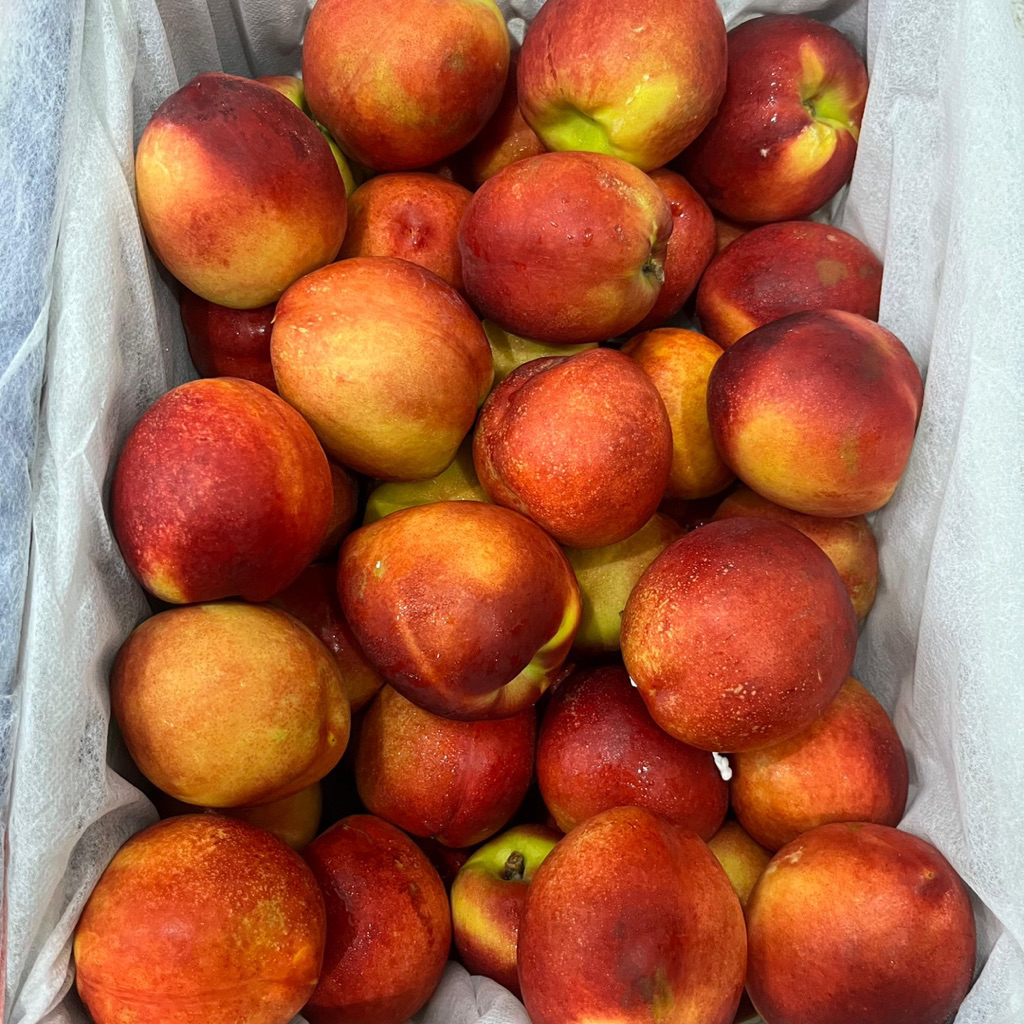 

RED NECTARINE | peach persik RRC Buah Nektarin Fresh