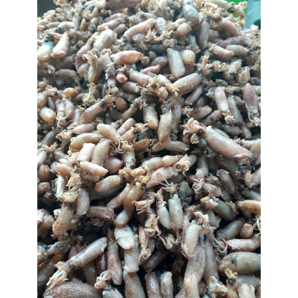 

ikan asin baby cumi 500 gram