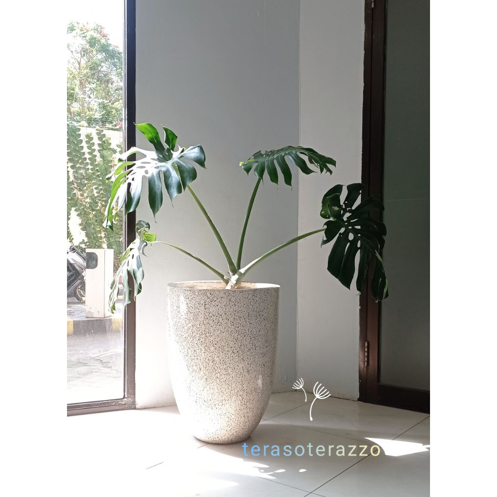 Hitam Model Apollo Tinggi Pot Teraso / terrazzo