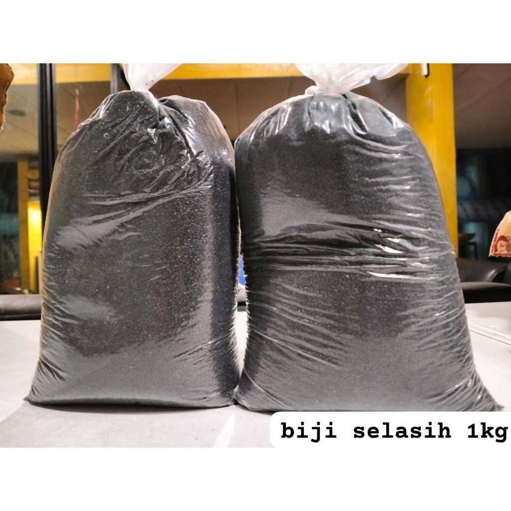 

biji selasih 1 kg
