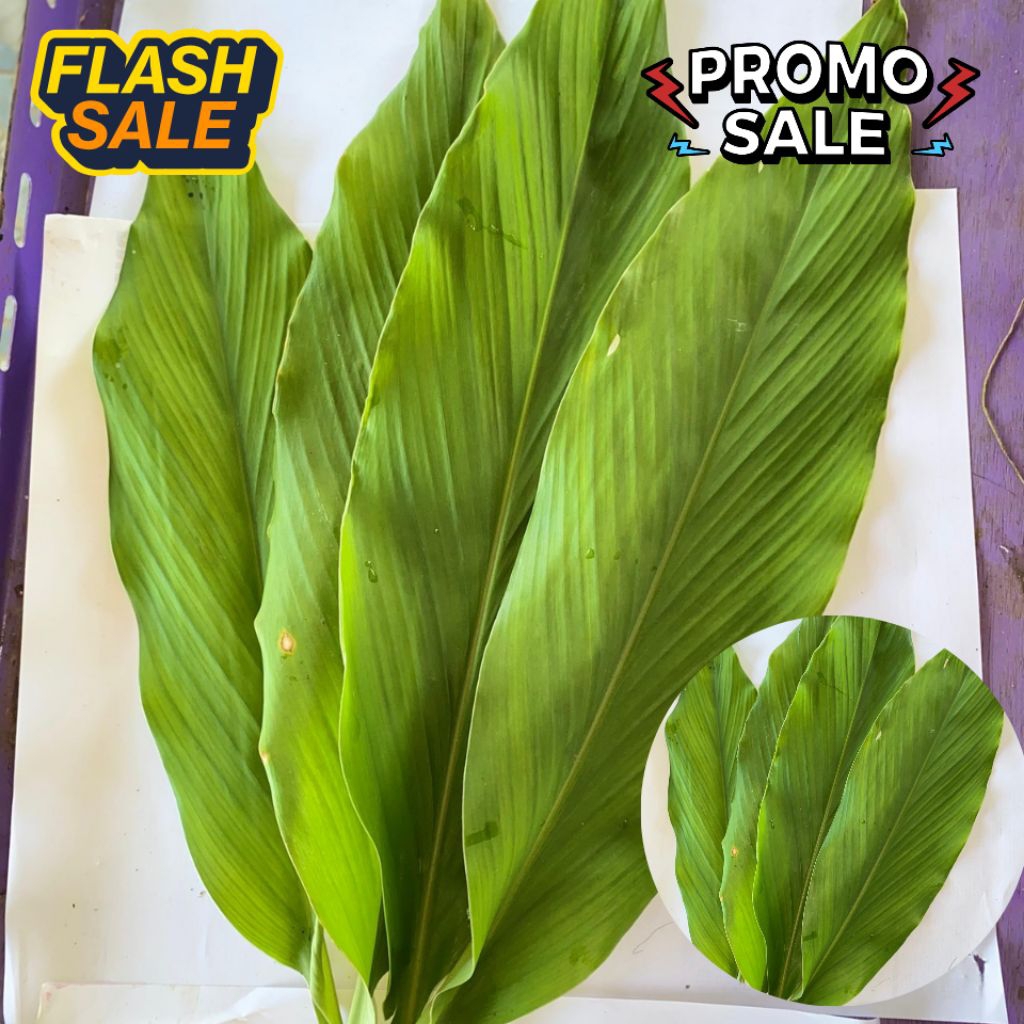 

Daun kunyit untuk memasak 100gram