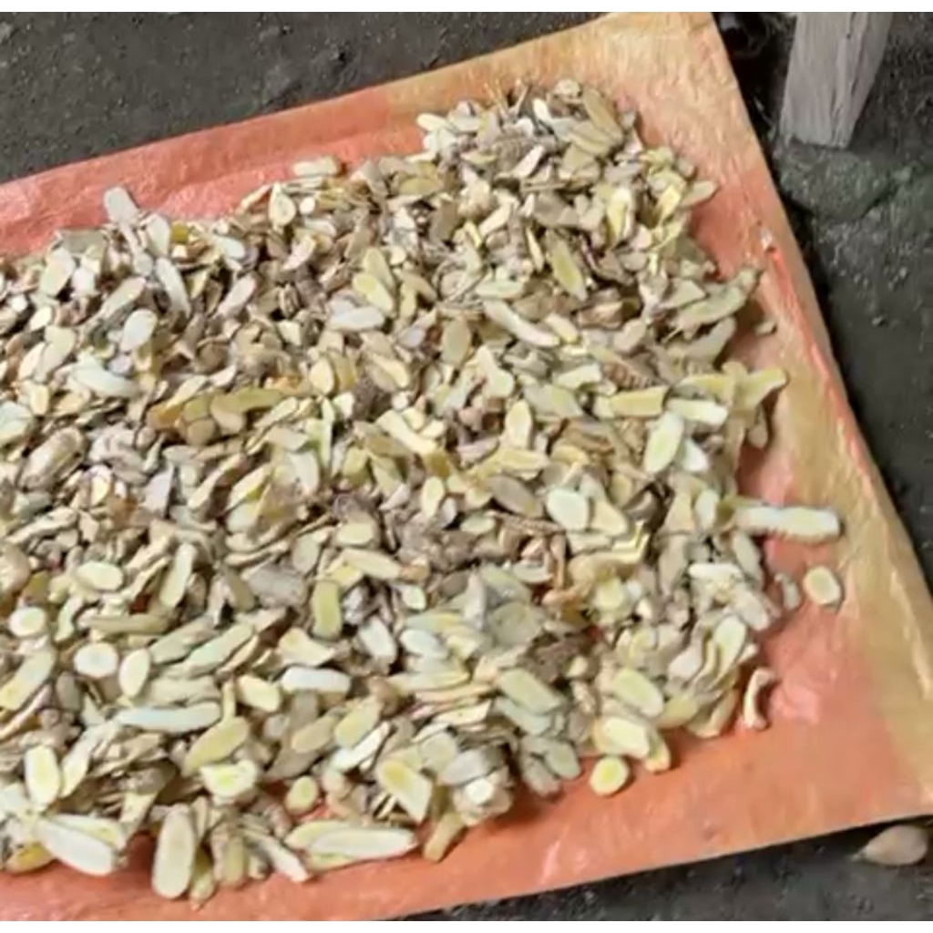 

Bahan Herbal Temu Poh/Temu Mangga