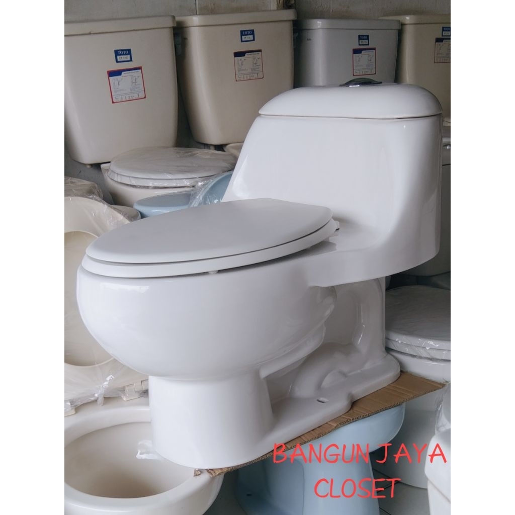 Closet duduk toto tipe cw894j warna putih jarak Lubang as 30 cm kondisi second