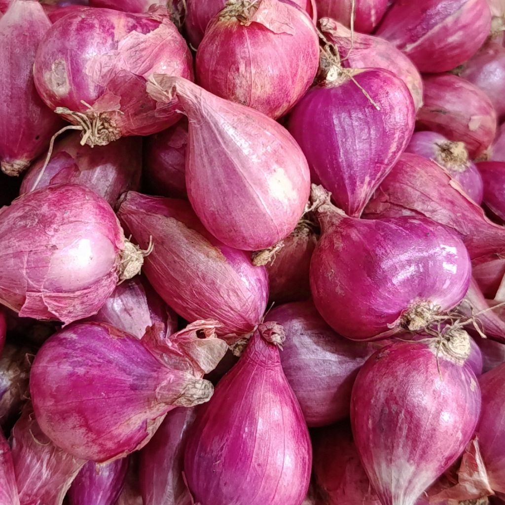 

Bawang Merah Brebes 1kg/500gr/250gr Bawang Merah Super
