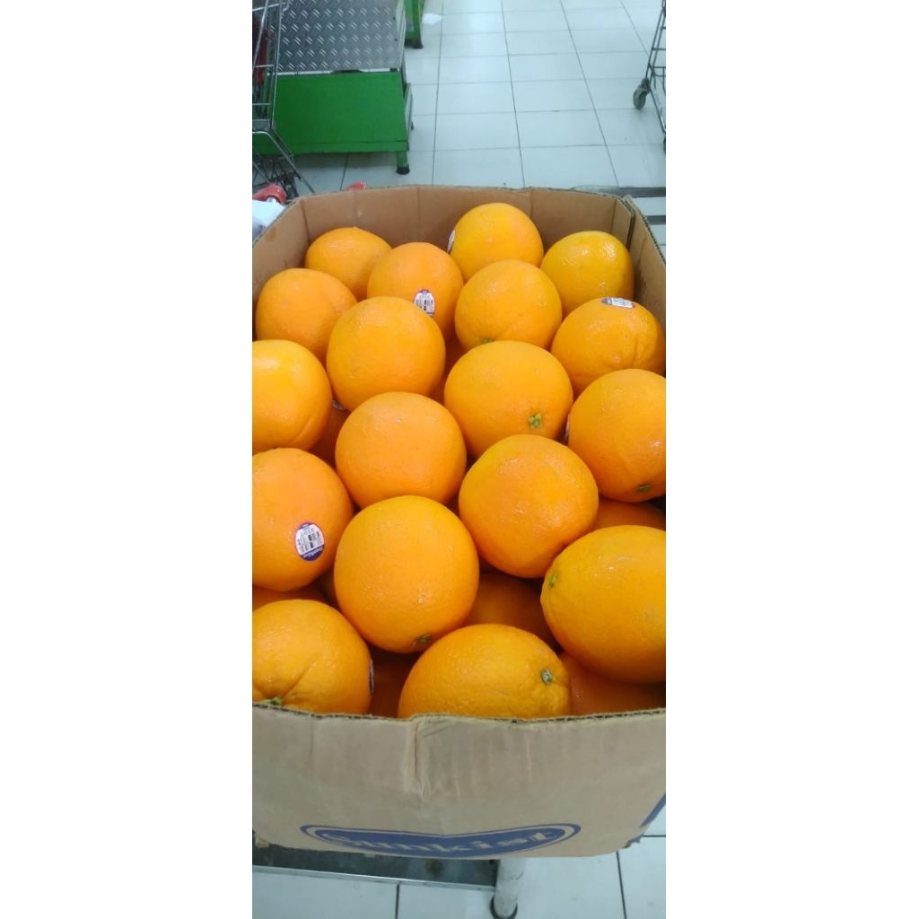 

jeruk novel manis segerrr