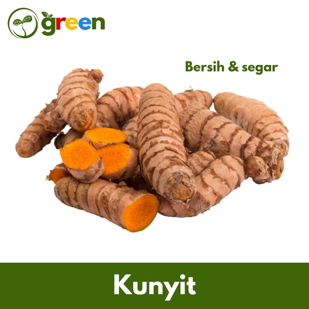

Kunyit / Kunir Bumbu Masakan