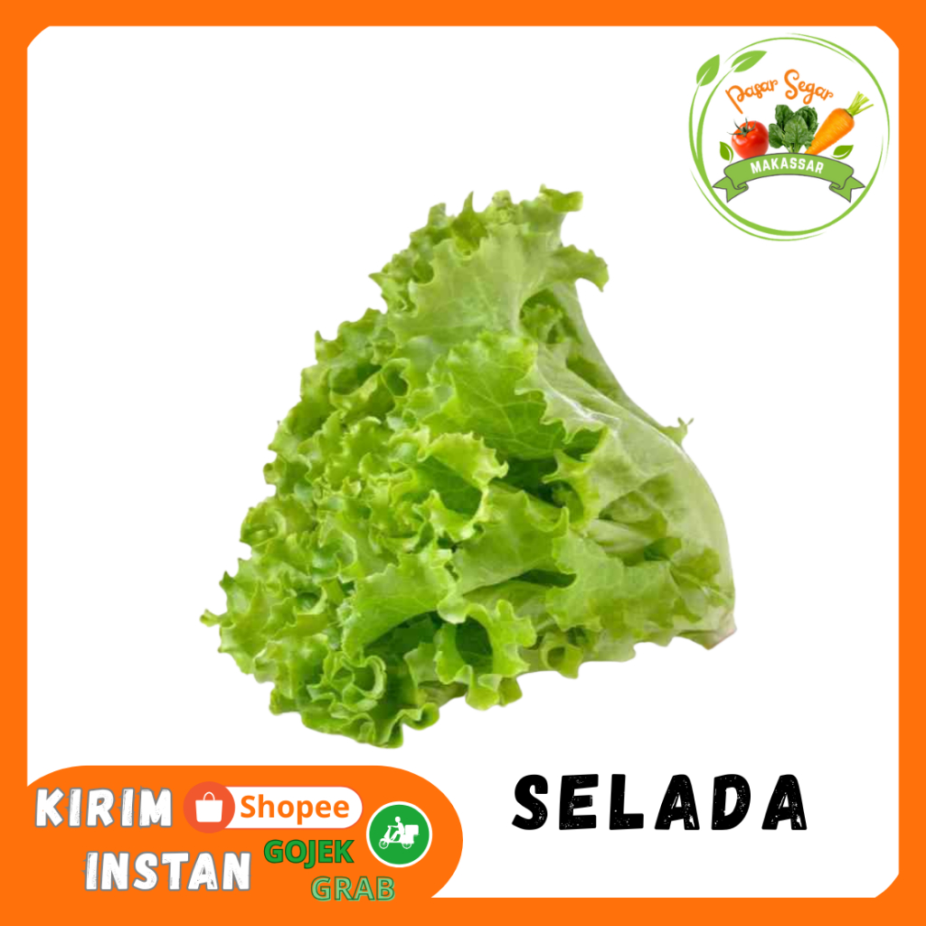 

Daun Selada keriting segar 500 gram Pasar online makassar