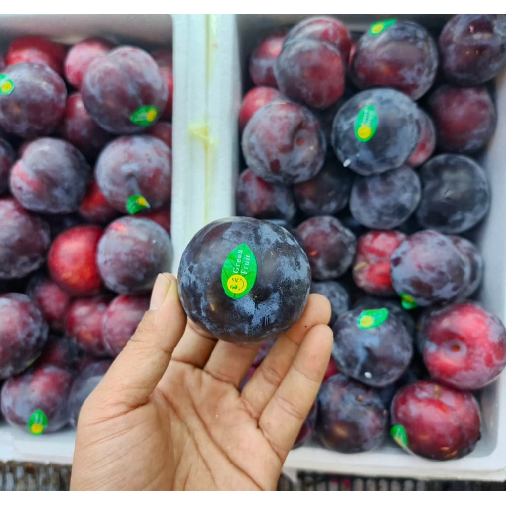 

Plum Black Import | Buah Plum Balck RRC 1kg