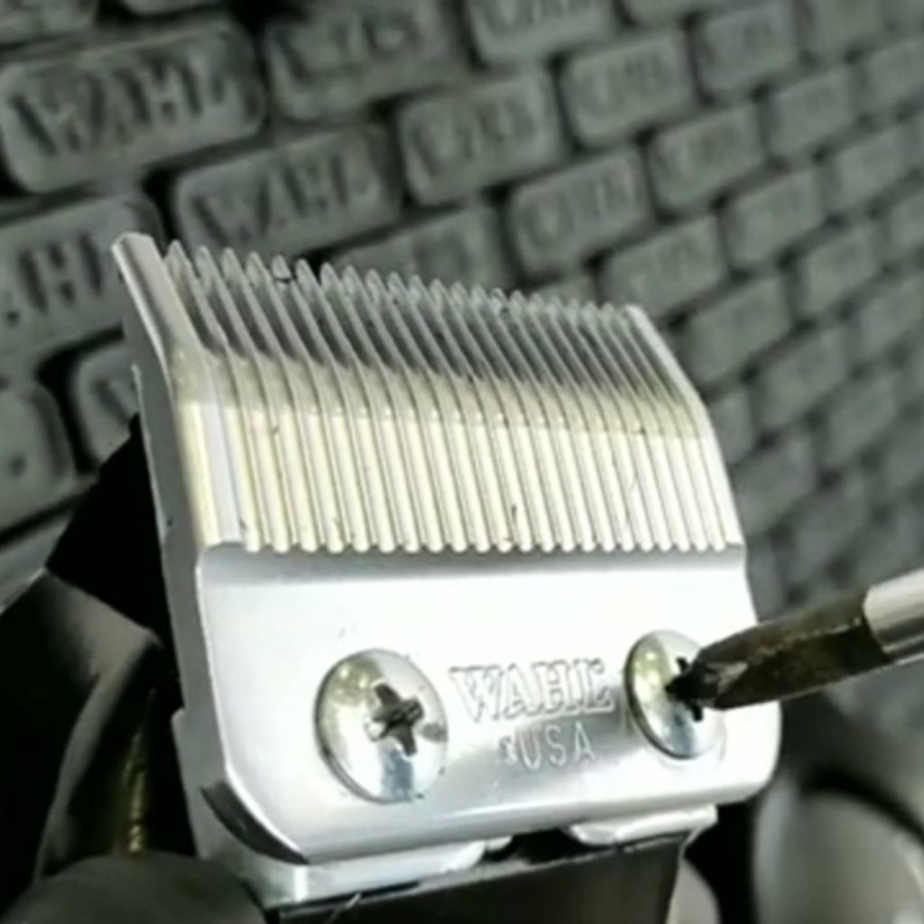 Jasa asah mata pisau clipper menajamkan kembali