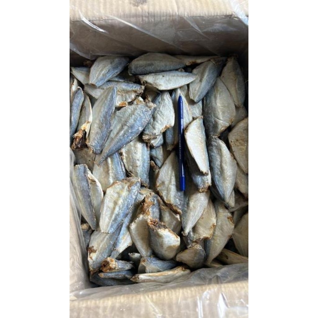 

1 Kg Peda Buntung Sedang / Ikan Asin Peda Buntung Tanpa Kepala