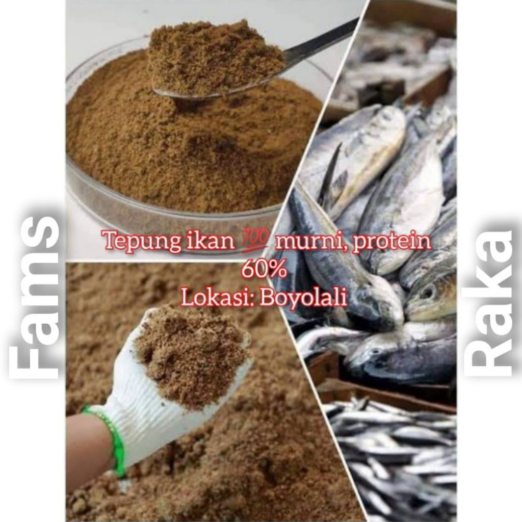 tepung ikan protein Tinggi  tepung ikan pakan ternak 1kg (beli 10 gratis 1)