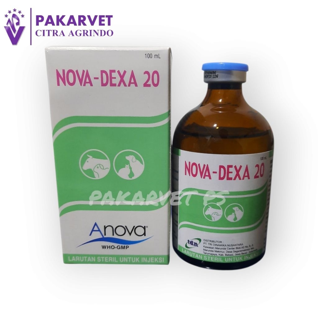 NOVA DEXA 100 ml Like Glucortin