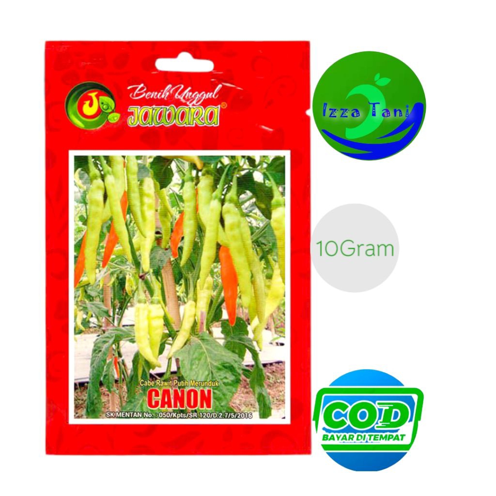Benih Cabe Rawit Putih Canon 10Gram Cabe Rawit Merunduk