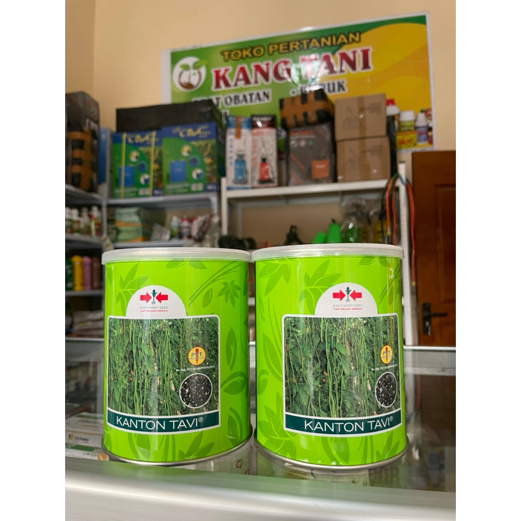 Benih KACANG PANJANG KANTON TAVI 500GR